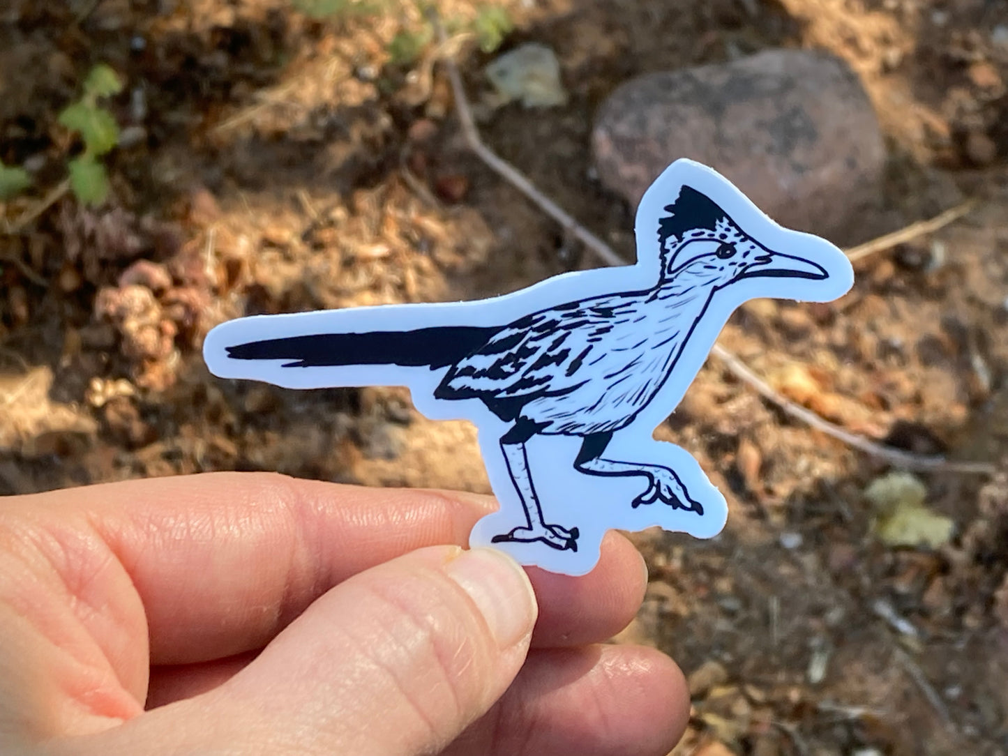 Road Runner Sticker