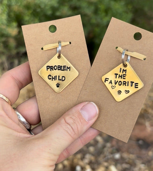 May 8 -  Dog Tags Class